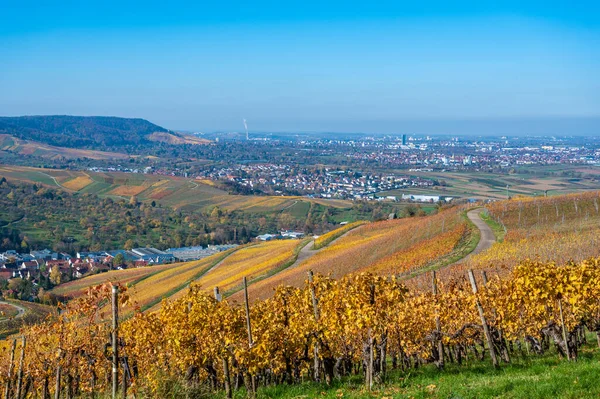 Struempfelbach Weinberge Der Region Weinstadt Wunderschöne Landschaft Herbst Bei Stuttgart — Stockfoto
