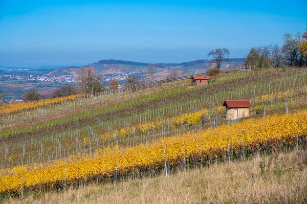 Struempfelbach Winnice Regionie Weinstadt Piękny Krajobraz Autum Niedaleko Stuttgartu Badenia — Zdjęcie stockowe