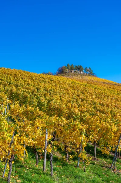 Struempfelbach Viñedos Región Weinstadt Hermoso Paisaje Autum Cerca Stuttgart Baden — Foto de Stock