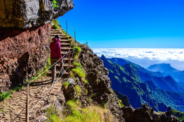 Pico do Arieiro 'dan Pico Ruivo, Madeira Adası' na güzel yürüyüş parkurları. Patika PR1 - Vereda do Areeiro. Bulutların üstündeki yaz gününde. Portekiz.