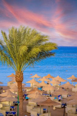 Cennet kumsalında dinlenmek - Şezlonglar ve şemsiyeler - seyahat yeri Hurghada, Mısır