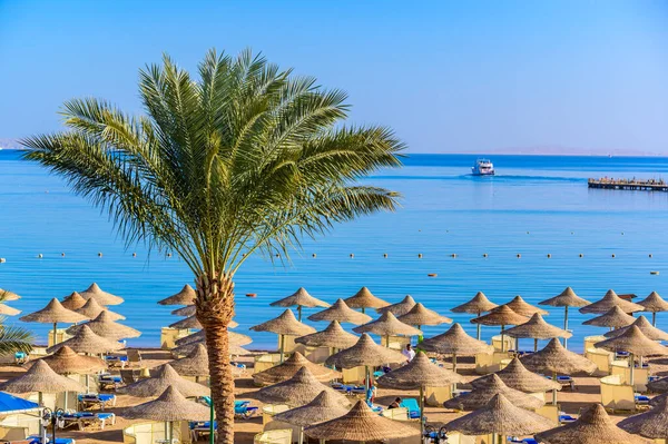 Relaxen Paradiesstrand Liegestühle Und Sonnenschirme Reiseziel Hurghada Ägypten — Stockfoto