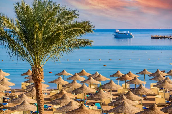 Relaxing Paradise Beach Chaise Lounge Parasols Travel Destination Hurghada Egypt — Stock Photo, Image