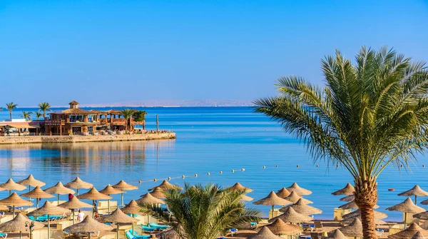 Relaxando Praia Paradisíaca Chaise Lounge Guarda Sóis Destino Viagem Hurghada — Fotografia de Stock