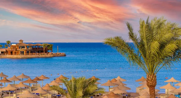 Avkopplande Paradisstranden Chaise Lounge Och Parasoll Resmål Hurghada Egypten — Stockfoto