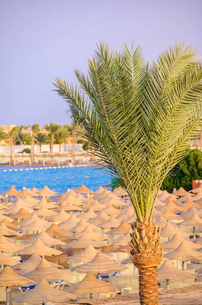 Avkopplande Paradisstranden Chaise Lounge Och Parasoll Resmål Hurghada Egypten — Stockfoto