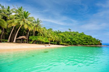 Port Barton Körfezi 'ndeki Albaguen Adası (ayrıca Maxima ve Albguan adası olarak da bilinir) Palawan, Filipinler' de tropikal seyahat bölgesi olan cennet beyaz kumlu plajlarıyla