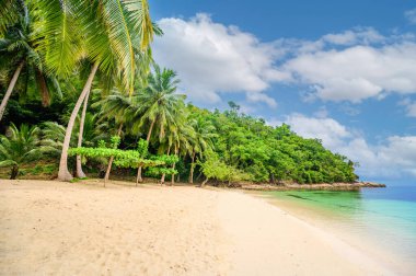 Port Barton Körfezi 'ndeki Albaguen Adası (ayrıca Maxima ve Albguan adası olarak da bilinir) Palawan, Filipinler' de tropikal seyahat bölgesi olan cennet beyaz kumlu plajlarıyla