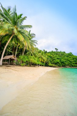Port Barton Körfezi 'ndeki Albaguen Adası (ayrıca Maxima ve Albguan adası olarak da bilinir) Palawan, Filipinler' de tropikal seyahat bölgesi olan cennet beyaz kumlu plajlarıyla