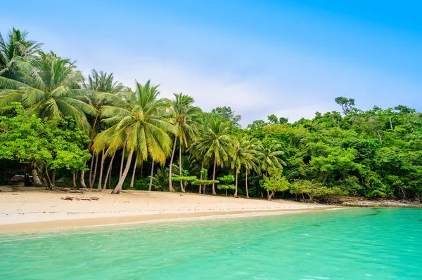 Isla Albaguen También Conocida Como Isla Máxima Albguan Port Barton — Foto de Stock