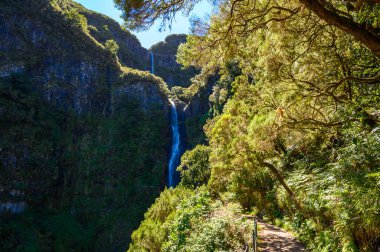 Risco Waterfall - Levada patikasında yürüyüş Rabacal Laurel ormanında 25 Fonte - güzel manzara - Madeira Adası, Portekiz
