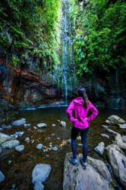 25 Fontes Şelalesi - Portekiz 'in Madeira Adası' ndaki ünlü 25 Çeşmeye giden Laurel Ormanı 'nda yürüyüş Levada Patikası