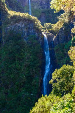 Risco Waterfall - Levada patikasında yürüyüş Rabacal Laurel ormanında 25 Fonte - güzel manzara - Madeira Adası, Portekiz