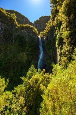 Risco Waterfall - Levada patikasında yürüyüş Rabacal Laurel ormanında 25 Fonte - güzel manzara - Madeira Adası, Portekiz