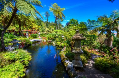 Monte Palace - Şelaleli Tropikal Bahçe, Göller ve Funchal şehrinin üzerindeki geleneksel binalar - Portekiz 'in Madeira adasındaki popüler turizm beldesi.