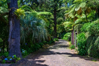 Monte Palace - Şelaleli Tropikal Bahçe, Göller ve Funchal şehrinin üzerindeki geleneksel binalar - Portekiz 'in Madeira adasındaki popüler turizm beldesi.