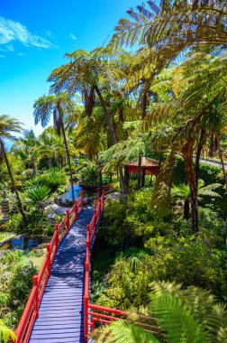Monte Palace - Şelaleli Tropikal Bahçe, Göller ve Funchal şehrinin üzerindeki geleneksel binalar - Portekiz 'in Madeira adasındaki popüler turizm beldesi.