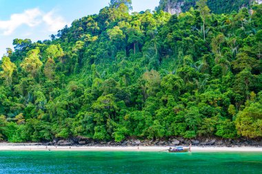 Monkey beach in paradise Bay - about 5 minutes boat ride from Loh Dalum Beach - Koh Phi Phi Don Island at Krabi, Thailand - Tropical travel destination clipart