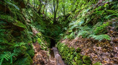 Levada do Caldeiro - hiking path in the forest in Levada do Caldeirao Verde Trail - tropical scenery on Madeira island, Portugal