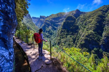 Levada do Caldeiro - hiking path in the forest in Levada do Caldeirao Verde Trail - tropical scenery on Madeira island, Portugal