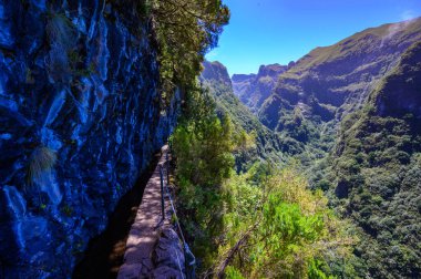 Levada do Caldeiro - hiking path in the forest in Levada do Caldeirao Verde Trail - tropical scenery on Madeira island, Portugal