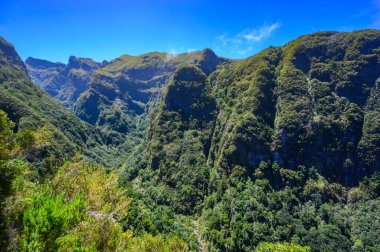 Levada do Caldeiro - hiking path in the forest in Levada do Caldeirao Verde Trail - tropical scenery on Madeira island, Portugal