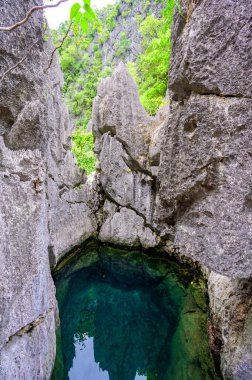 Cennet adasındaki Barakuda Gölü, Coron, Palawan, Filipinler - tropikal seyahat merkezi