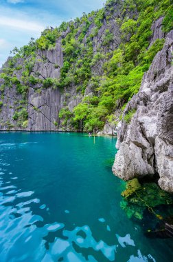 Cennet adasındaki Barakuda Gölü, Coron, Palawan, Filipinler - tropikal seyahat merkezi