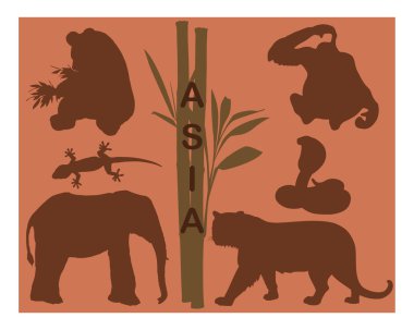 hayvan silhouettes - Asya