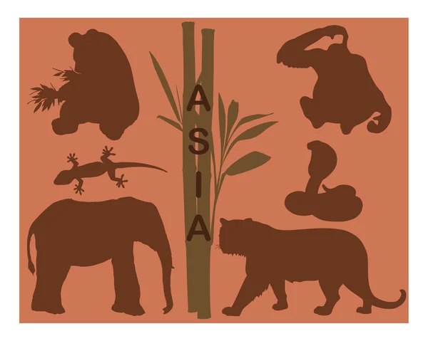 Hayvan silhouettes - Asya — Stok Vektör