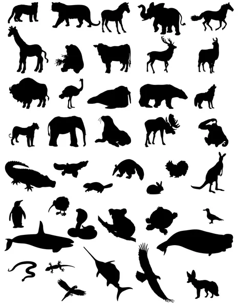 hayvan silhouettes - izole