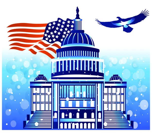 USA Parlament illusztráció — Stock Vector