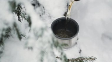 Sıcak çay, karlı bir ormanda termostan bir kupaya dökülür.
