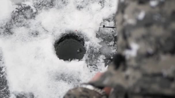 Pescador Captura Peces Agujero Hielo Invierno Pesca Invierno Caña Pescar — Vídeo de stock