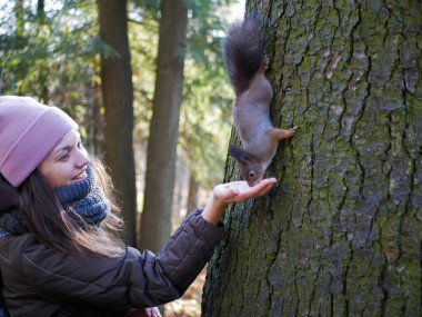Kız ellerinden vahşi bir sincabı besliyor, park, orman, gün
