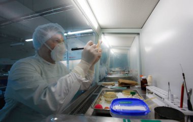 Doktor mikroorganizmalarla Laminar, mikrobiyoloji laboratuvarında çalışıyor. Koruyucu giysili bir adam ve Petri kapları.