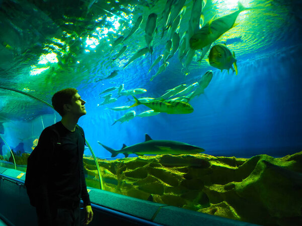 Молодой Человек Смотрит Рыбу Океанариуме Стоковая Картинка