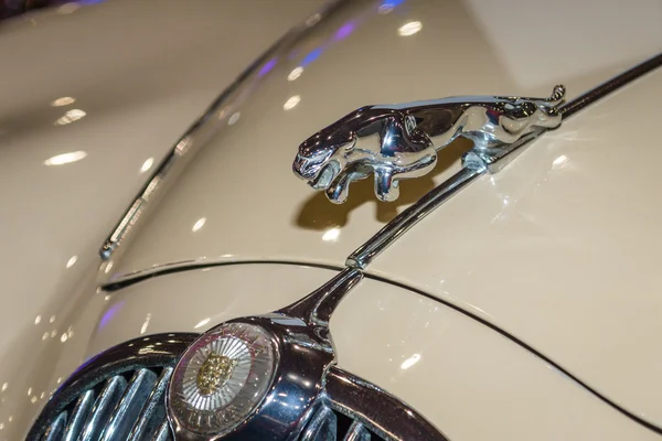 Hood ornament (Jaguar in the jump) of the Jaguar XK150 — Stok fotoğraf