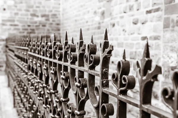 Krásné kované železné plot — Stock fotografie