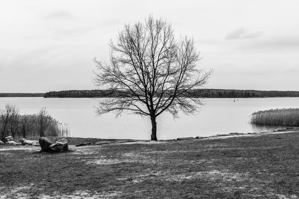 Jour couvert sur le lac . — Photo