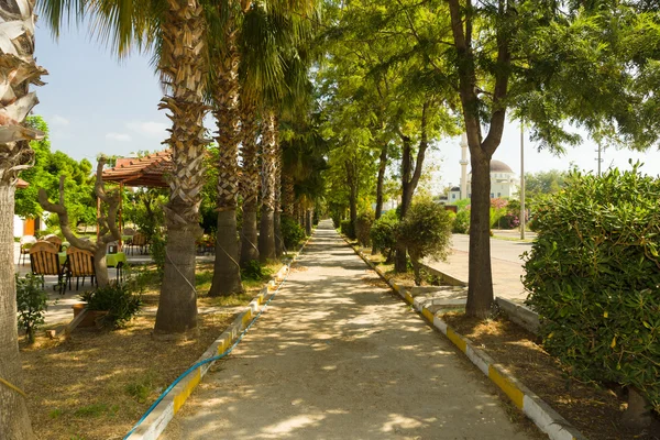 Sidewalk under the palm trees. — Stock Photo, Image