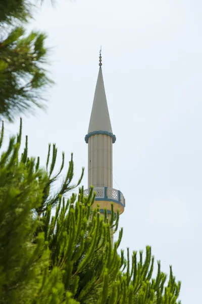 Minaret na pozadí oblohy. borovice v popředí. — Stock fotografie