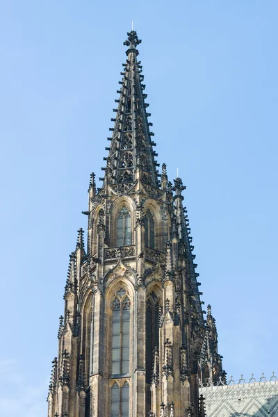 Detalj av Metropolitan katedralen heliga Vitus, Wenceslaus och Adalbert. Prag. Tjeckien. — Stockfoto