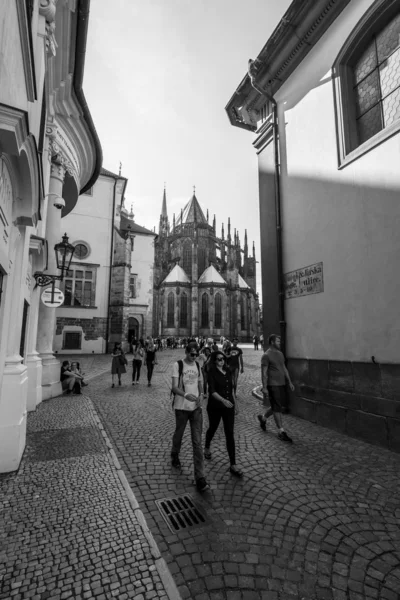 Prague Castle. In the background St. Vitus Cathedral. Black and white. — Stock Photo, Image