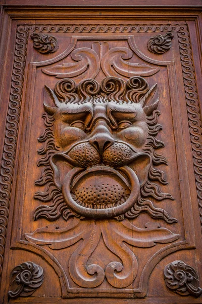 Decor old door in the form of a lion's head — Stock Photo, Image