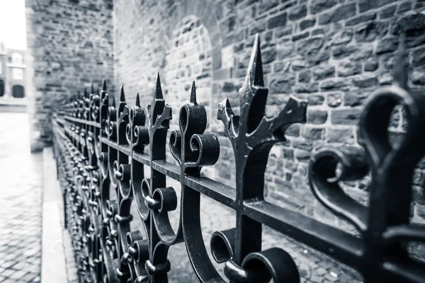 Красивый кованый железный забор — стоковое фото