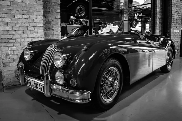 El roadster Jaguar XK140 —  Fotos de Stock