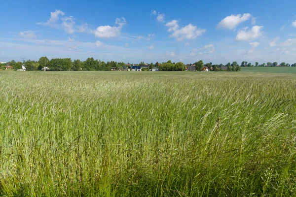 Paisaje rural. — Foto de Stock