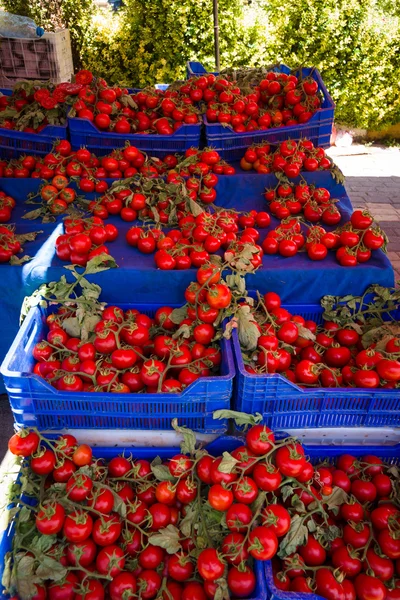 Vakken met tomaten. — Stockfoto