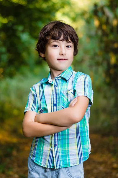 Ironic portrait of a boy with arms folded. — Stock Photo, Image